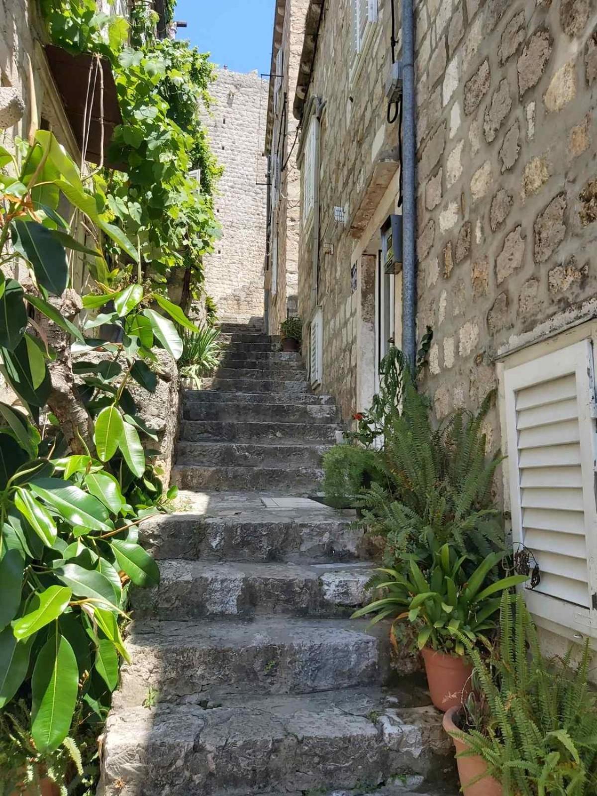Rooms Megi Dubrovnik Rum bild
